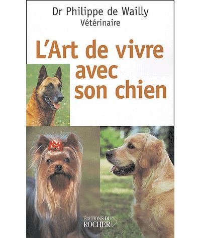 Poster à Gratter Chien - 52 Aventures à Vivre Avec Son Chien - Format A3 - Encre Dorée - Bucket List Maître & Chien - 7