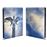 Les ailes du désir Steelbook Blu-ray 4K Ultra HD