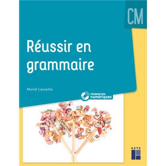 Reussir En Grammaire Cm Dvd Livre Avec 1 Dvd Livre Dvd Muriel Lauzeille Achat Livre Fnac