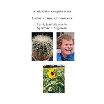 Cactus, charme et tournesols