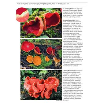 Champignons d'Europe temperee (2 volumes)