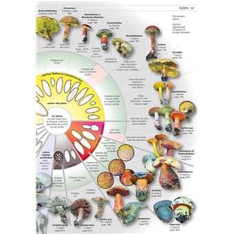 Champignons d'Europe temperee (2 volumes)