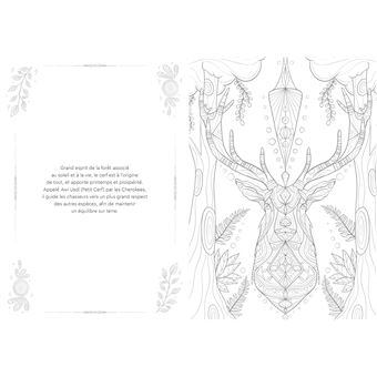 Âme chamane, un livre à colorier