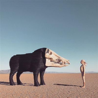 DREAMING HUNTING IN THE VALLEY OF (PINK/LOSER EDITION)/LP