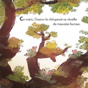 Gaston Grognon tout carton - Gaston Grognon dit non !