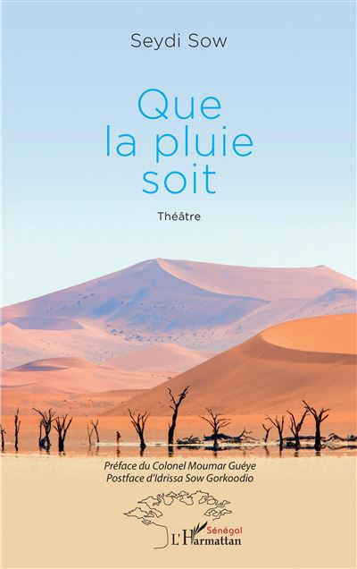 Que la pluie soit - Seydi Sow - broché