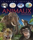 Animaux sauvages