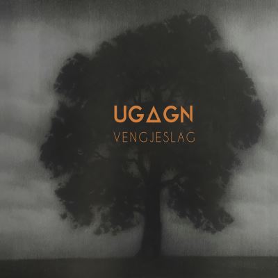 Vengjeslag
