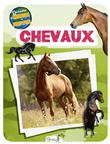 Chevaux