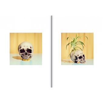 Survivalist Failures