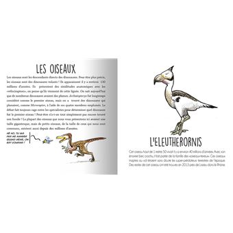 Les animaux préhistoriques du Sud de la France