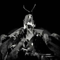 A night full of collapses