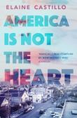 AMERICA IS NOT THE HEART