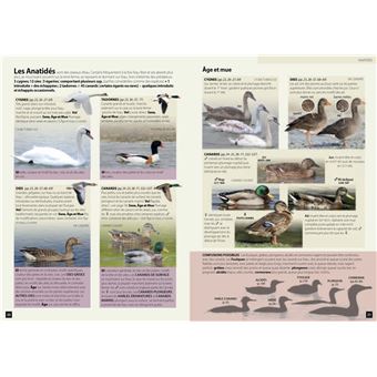 Guide des Oiseaux d'Europe