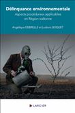 Délinquance environnementale - Aspects procéduraux applicables en Région wallonne