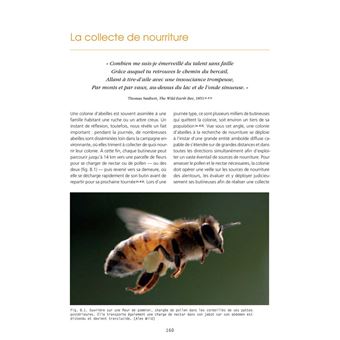 L’Abeille à miel