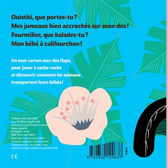 Ouistiti, que portes-tu ?