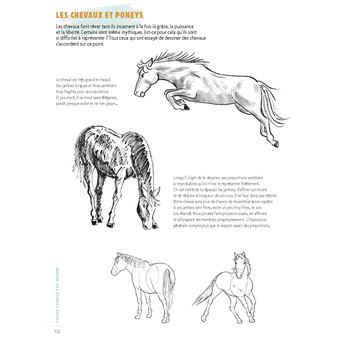 Cours complet de dessin en 300 modèles