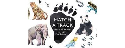 Match a Track