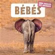Bébés