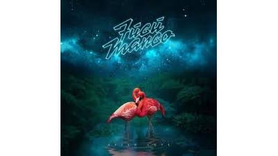 ALIEN LOVE LP