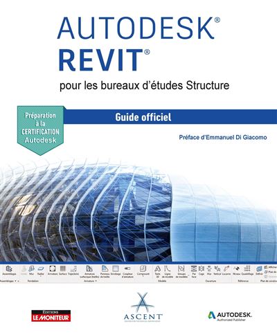 Revit structure