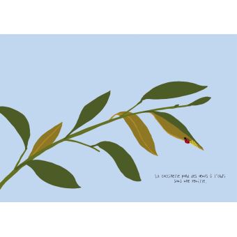 Les Bêtes minuscules