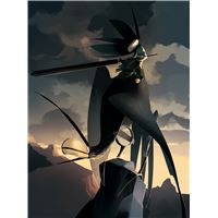 Coffret wakfu heroes le corbeau noir collector