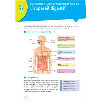Le Volum' CAP -  Accompagnant éducatif Petite enfance - Révision et Entraînement