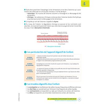 Le Volum' CAP -  Accompagnant éducatif Petite enfance - Révision et Entraînement