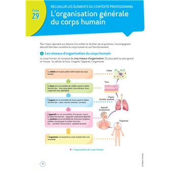 Le Volum' CAP -  Accompagnant éducatif Petite enfance - Révision et Entraînement