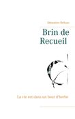 Brin de Recueil