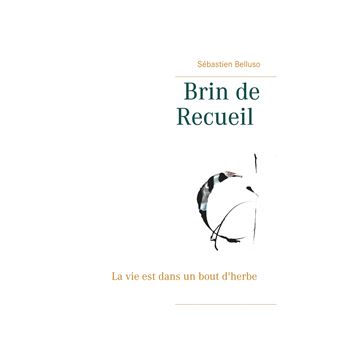 Brin de Recueil