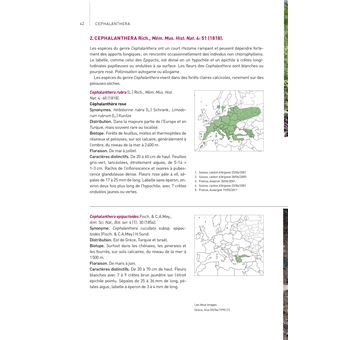 Orchidées d'Europe et de Méditerranée