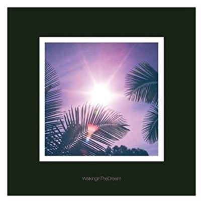 Walking in the dream ep