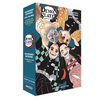 OUVERTURE COFFRETS MANGA DEMON SLAYER - DE TRÈS BONS CADEAUX POUR