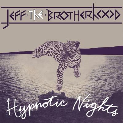 Hypnotic nights