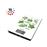 SALTER KITCHEN SCALE HERBS_0