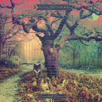 Crooked doors - 2 LP