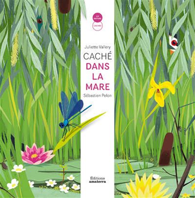 Cache dans la mare