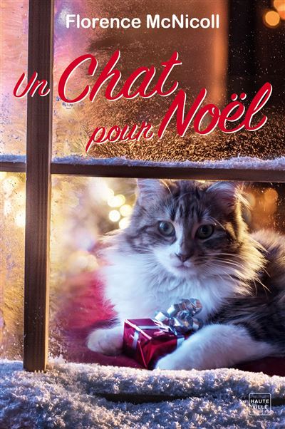 Un chat pour noel