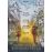 WONDERSTRUCK-NL_0