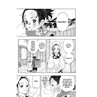 Coffret Demon Slayer T01 à T06