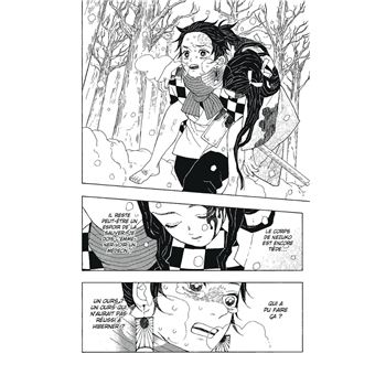 Coffret Demon Slayer T01 à T06