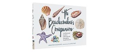 The Beachcomber's Companion