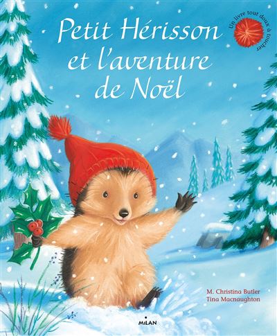 Petit Herisson Petit Herisson Et L Aventure De Noel M Christina Butler Tina Macnaughton Cartonne Achat Livre Ou Ebook Fnac