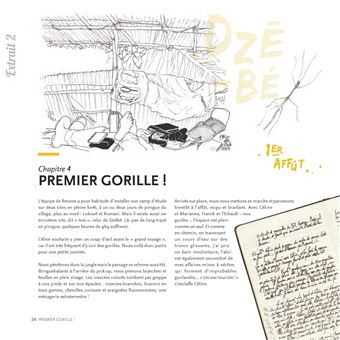 Des gorilles et des hommes