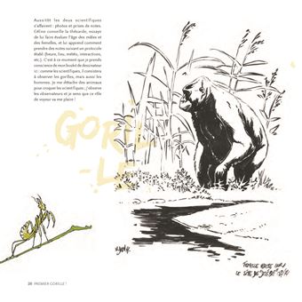 Des gorilles et des hommes