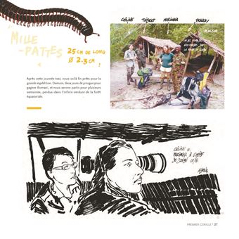 Des gorilles et des hommes