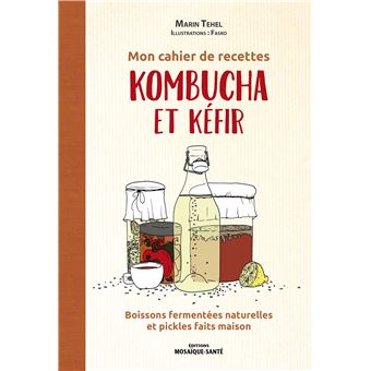Mon cahier de recettes kombucha et kefir